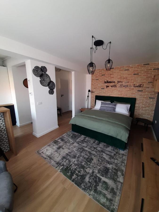 City Center View Studio Apartment 1 Timişoara Eksteriør billede