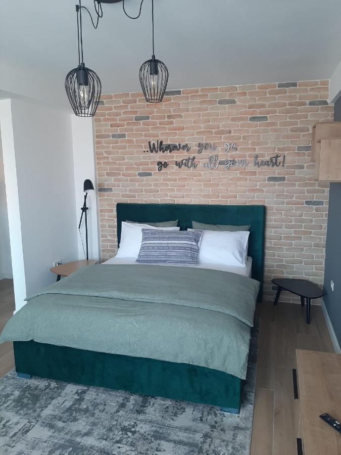 City Center View Studio Apartment 1 Timişoara Eksteriør billede